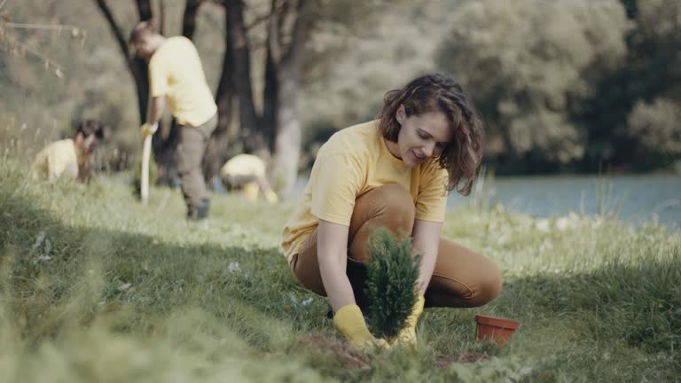 Best Lawn Drainage Solutions  in Copperopolis, CA