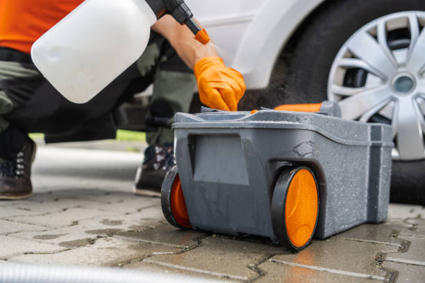 Best Lawn Maintenance Plans  in Copperopolis, CA